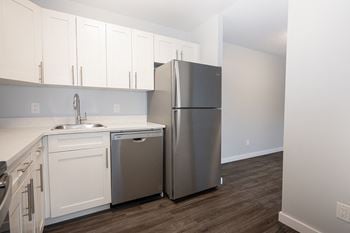 Stainless steel dishwasher